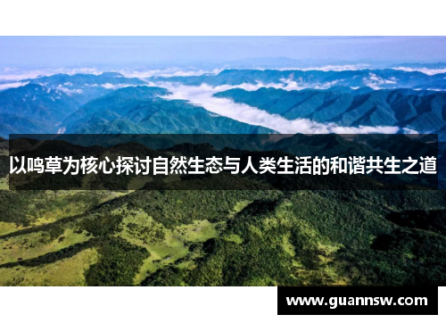 以鸣草为核心探讨自然生态与人类生活的和谐共生之道